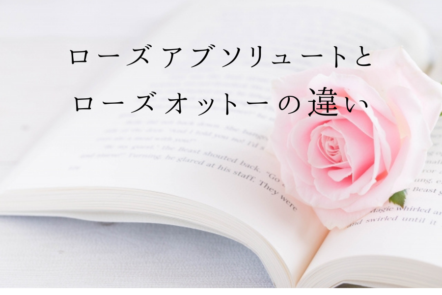 ローズオットーとローズアブソリュートの違いは ５つの違いを解説 アロマ入門ブログ